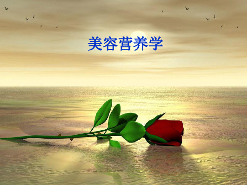 美容的营养学 PPT课件