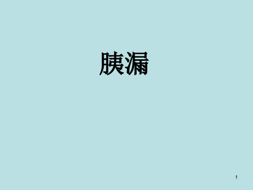 胰瘘ppt课件