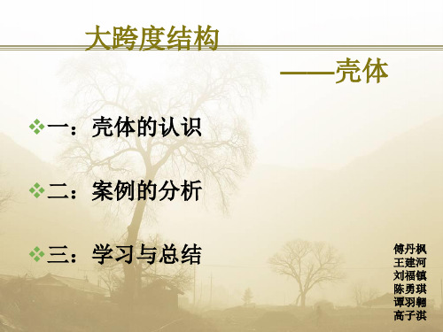 大跨度案例分析悉尼歌剧院