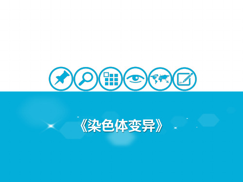 高中生物人教版《染色体变异》PPT(最新版)