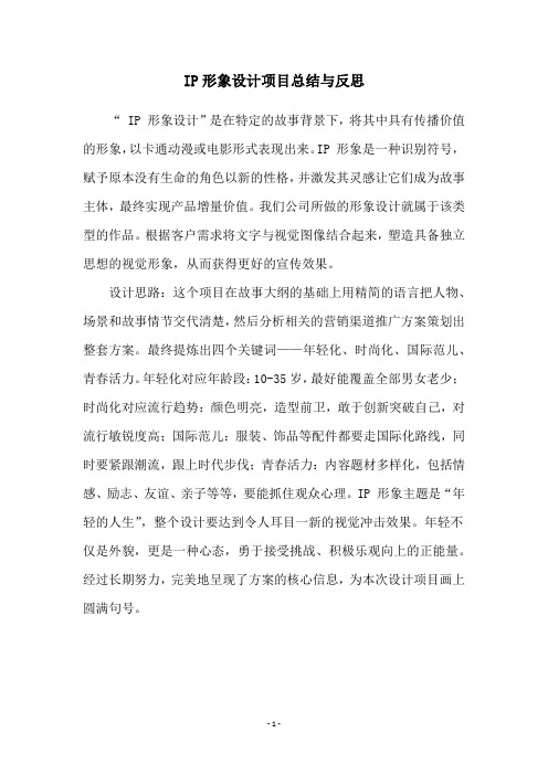 IP形象设计项目总结与反思