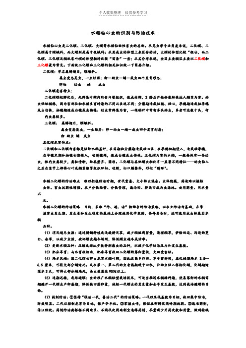 水稻钻心虫防治技术