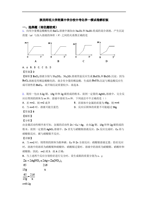 陕西师范大学附属中学分校中考化学一模试卷解析版