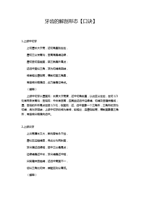 牙齿形态解剖口诀