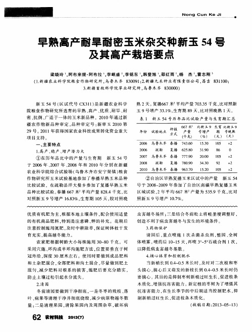 早熟高产耐旱耐密玉米杂交种新玉54号及其高产栽培要点