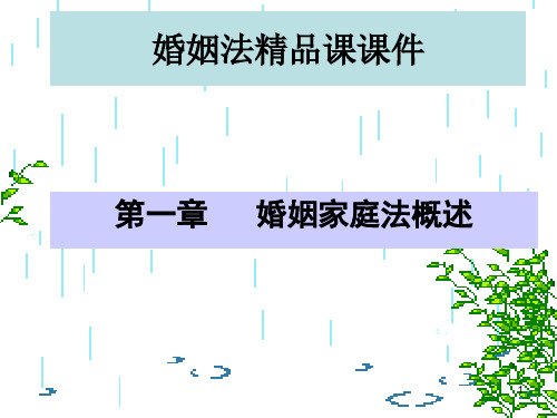 婚姻法精品课  第一章  婚姻家庭法概述PPT课件