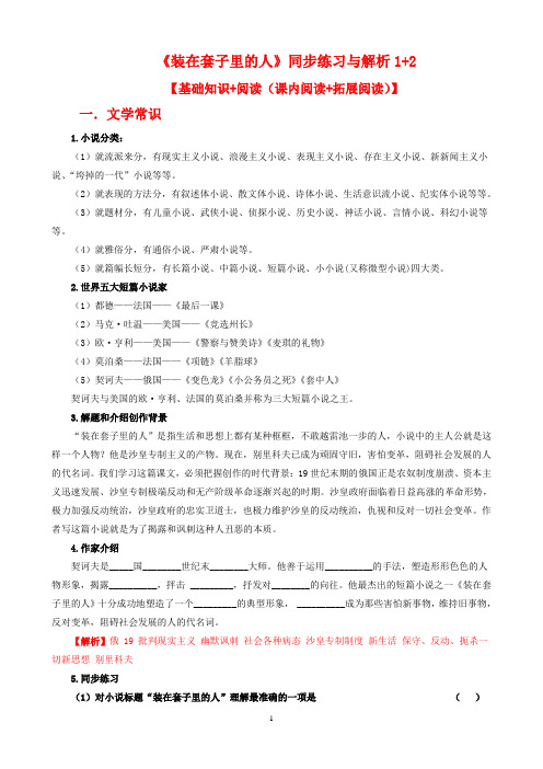 人教版高中语文必修5：《装在套子里的人》同步练习与解析1+2【基础知识+阅读    安乡一中   龚德国