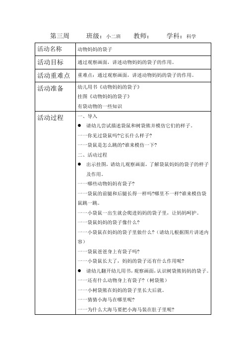 科学动物妈妈的袋子