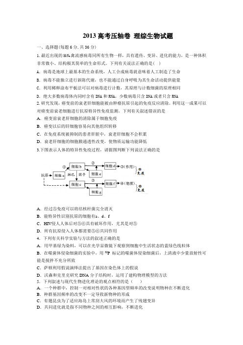2013高考压轴卷 理综生物试题