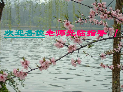 高三语文专题复习——新闻短评