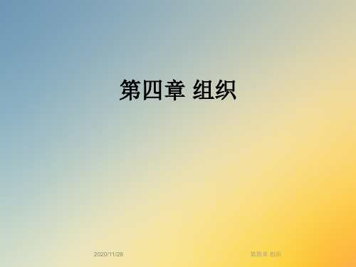 第四章 组织