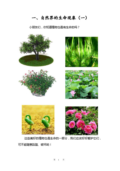 小学一二年级生命教育校本教材