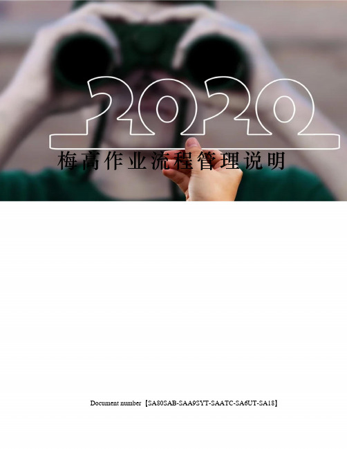 梅高作业流程管理说明修订稿