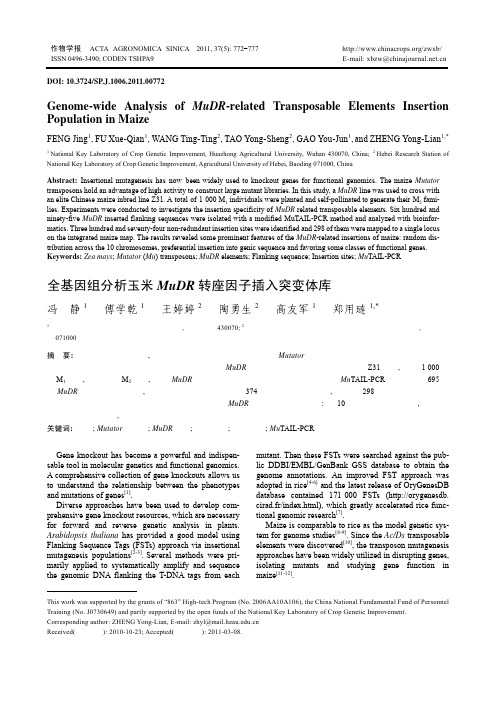 全基因组分析玉米MuDR转座因子插入突变体库