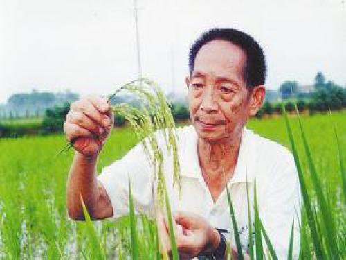 冀教版初中英语九年级全一册第2单元Lesson 9 China’s Most Famous “Farmer(共22张PPT)