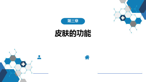 皮肤性病学 第3-4章  皮肤的功能与皮肤性病的基本临床表现