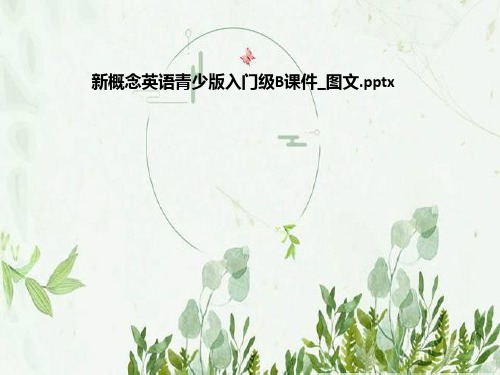 新概念英语青少版入门级B课件_图文