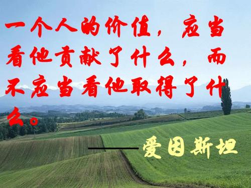 行道树ppt