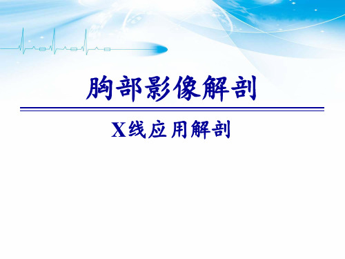 胸部X线解剖 ppt课件
