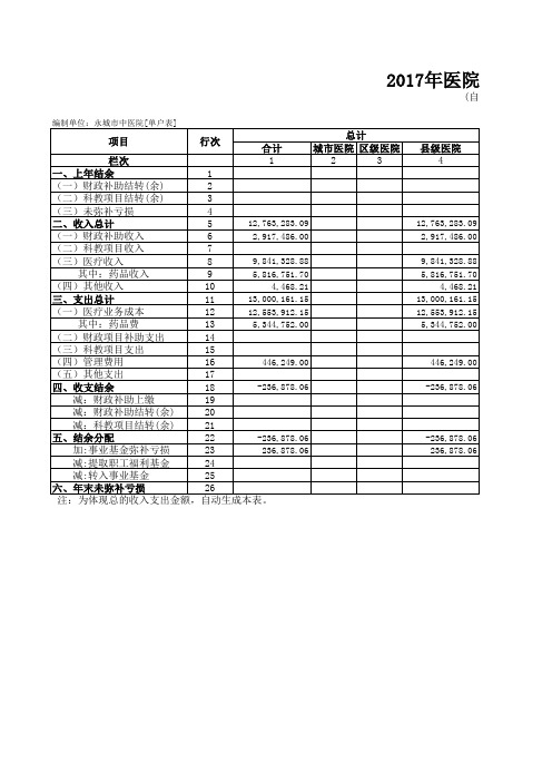 收入支出总表