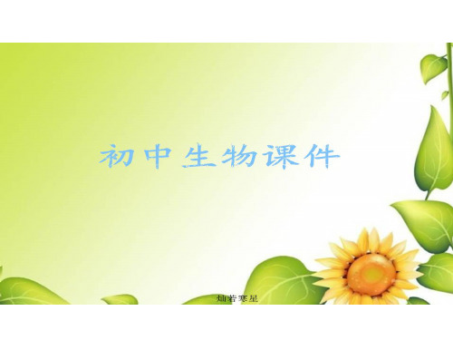 初中生物中考专题第八单元-第二三章-用药和急救、了解自己,增进健康