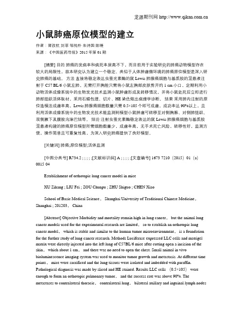 小鼠肺癌原位模型的建立