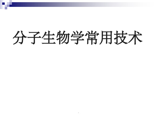 分子生物学常用技术下