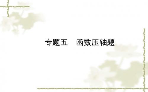 【数学课件】2018年中考数学一轮复习专题五：函数压轴题(德州市)