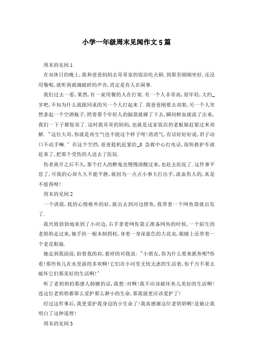 小学一年级周末见闻作文5篇