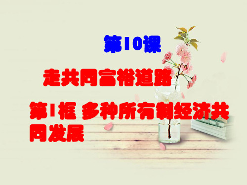 多种所有制经济共同发展PPT教学课件