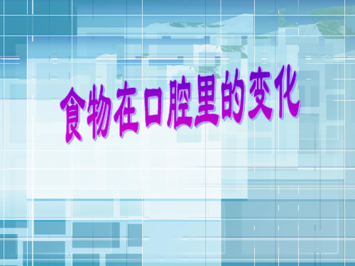 4.6食物在口腔里的变化PPT