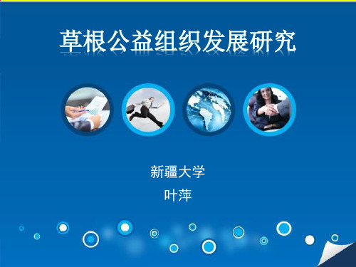 草根组织发展研究PPT