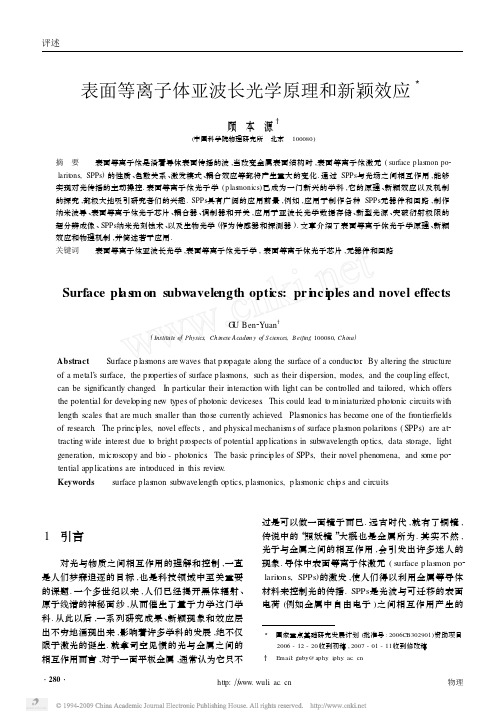 表面等离子体亚波长光学原理和新颖效应