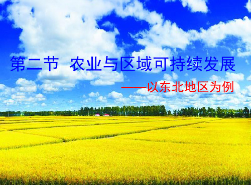 鲁教版高中地理必修三第四单元区域综合开发与可持续发展第二节 农业与区域可持续发展---以东北地区为例