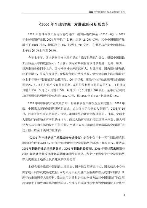2006年全球钢铁厂发展战略分析报告