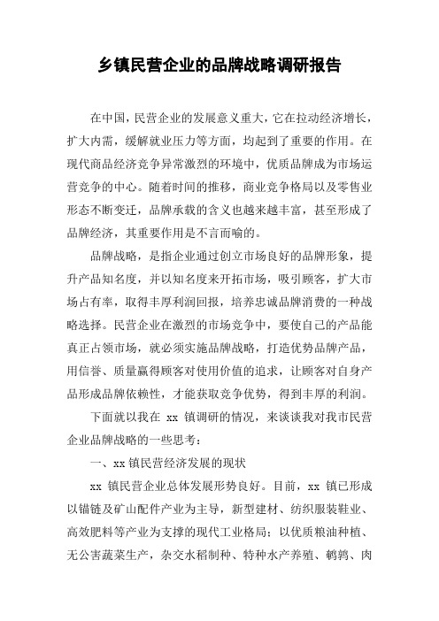 乡镇民营企业的品牌战略调研报告