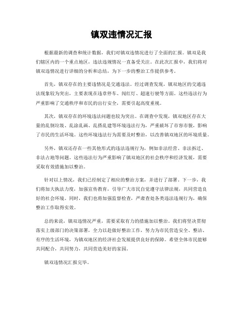 镇双违情况汇报