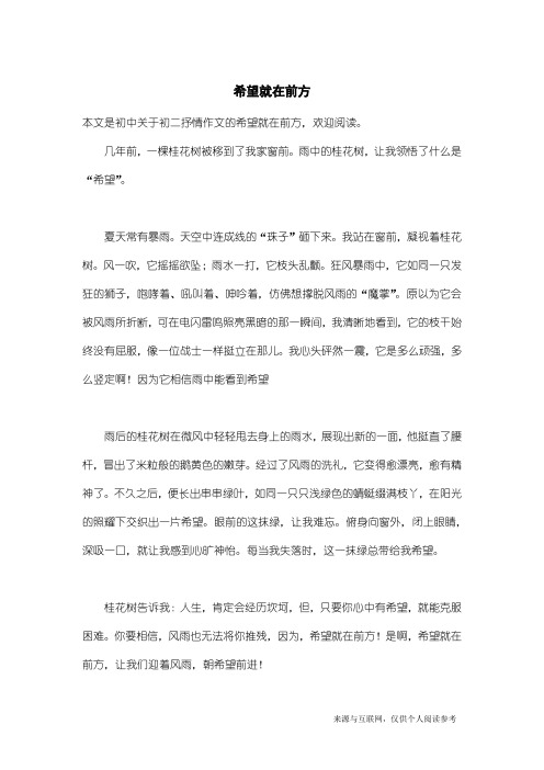 初二抒情作文：希望就在前方