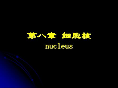 第八章 细胞核