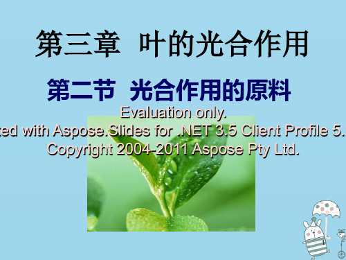 八年级生物上册 第三单元 第三章 第二节光合作用的原料课件 (新版)冀教版