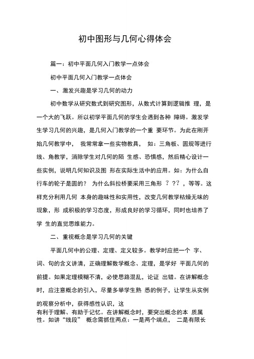 初中图形与几何心得体会