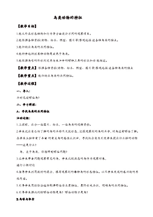冀教小学科学六年级上册《3鸟类动物的特征》教案_(1)【精品】
