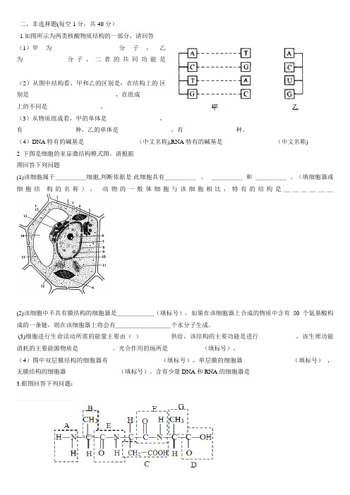 原核细胞与真核细胞习题