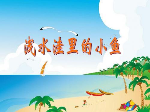 《浅水洼里的小鱼》