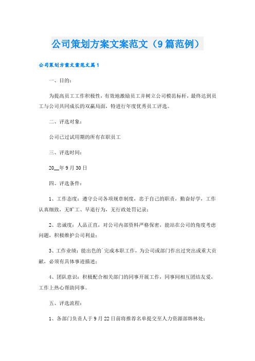 公司策划方案文案范文(9篇范例).doc