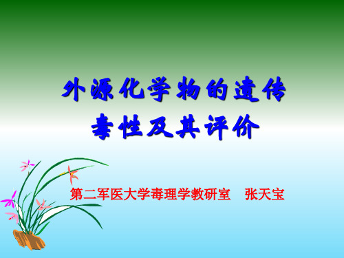 遗传毒性及其评价(ppt文档)