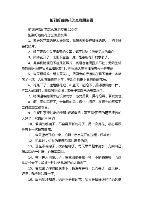 拍到好看的花怎么发朋友圈