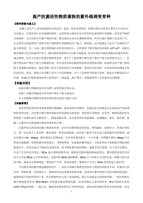 发酵工艺实验讲议