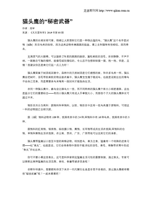 猫头鹰的“秘密武器”