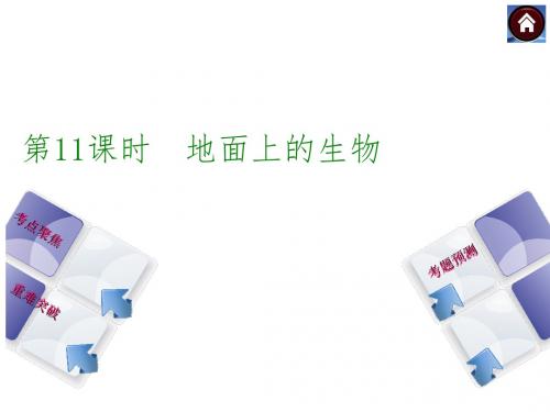 【中考复习方案】2015中考生物(淮安)总复习课件：第11课时 地面上的生物(共13张PPT)